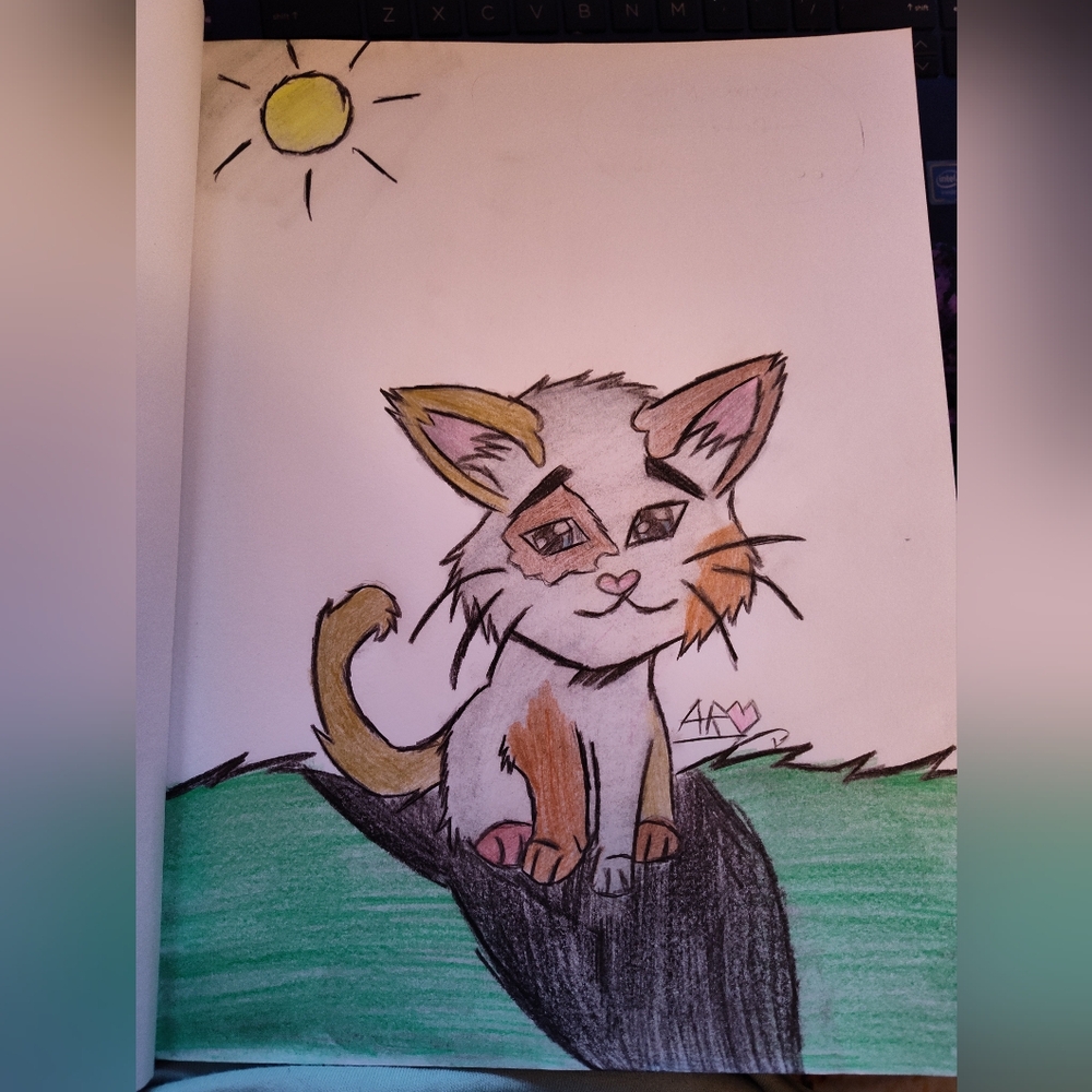 Calico cat